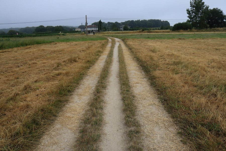 산티아고 가는길(camino de santiago 2014) : 사리아(sarria)에서 시작하기..#4-1 사리아 Sarria ~ portomarin 2014.7.18 관련 이미지 35