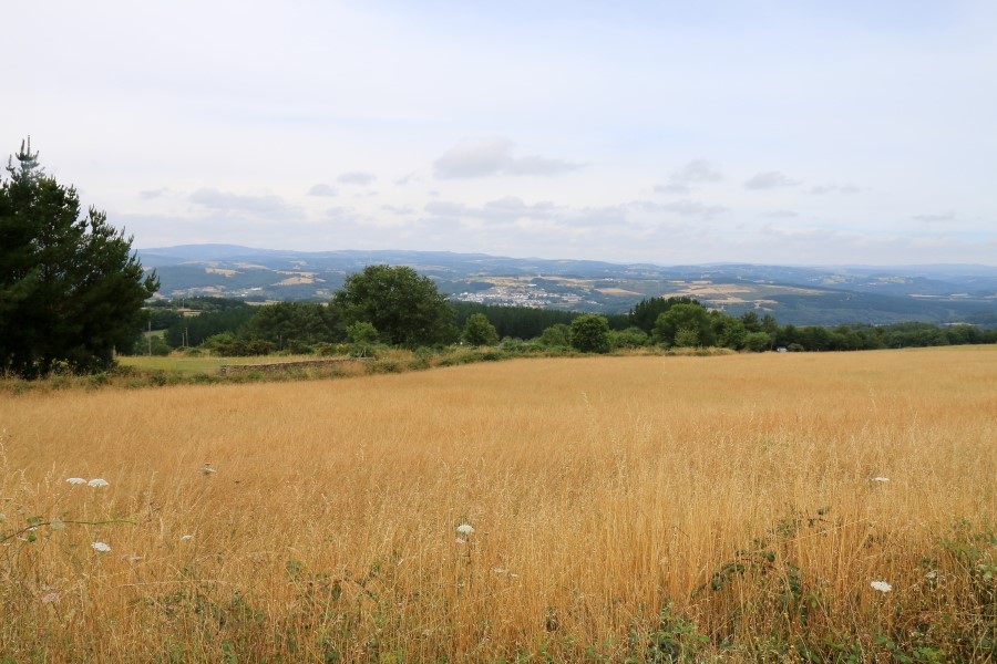 산티아고 가는길(camino de santiago 2014) : 사리아(sarria)에서 시작하기..#4-2 사리아 Sarria ~ portomarin 2014.7.18 관련 이미지 24