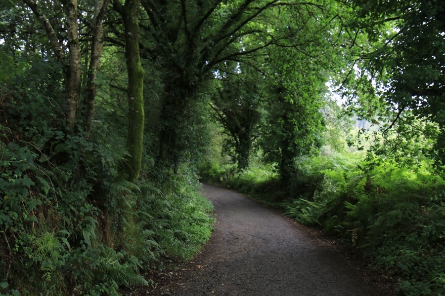 camino de santiago 카미노 데 산티아고 # 3일째-그다음이야기 ..Palas de rei ~ Arzua 28.9 km...2014.7.20 관련 이미지 42
