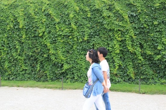 빈 ....Schloss Schonbrunn 쉰부룬궁전 - 1 # 2011.8.2. 관련 이미지 5