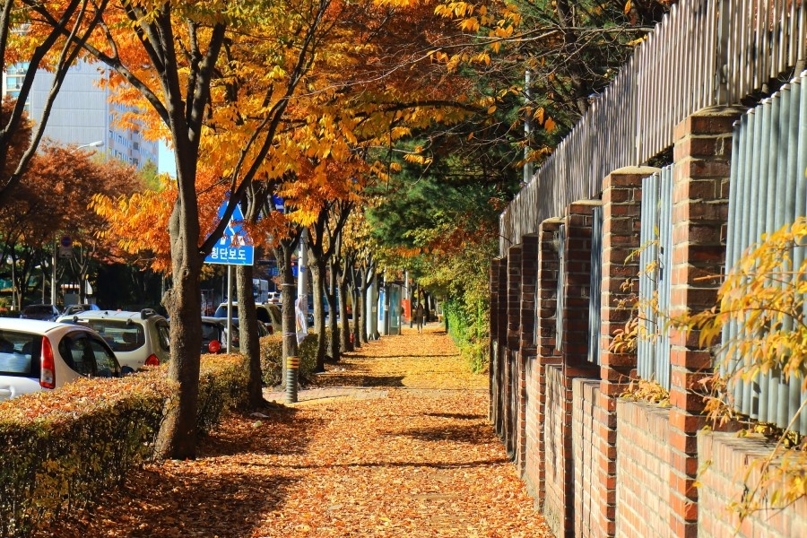 가을 열한번째.. 관련 이미지 1