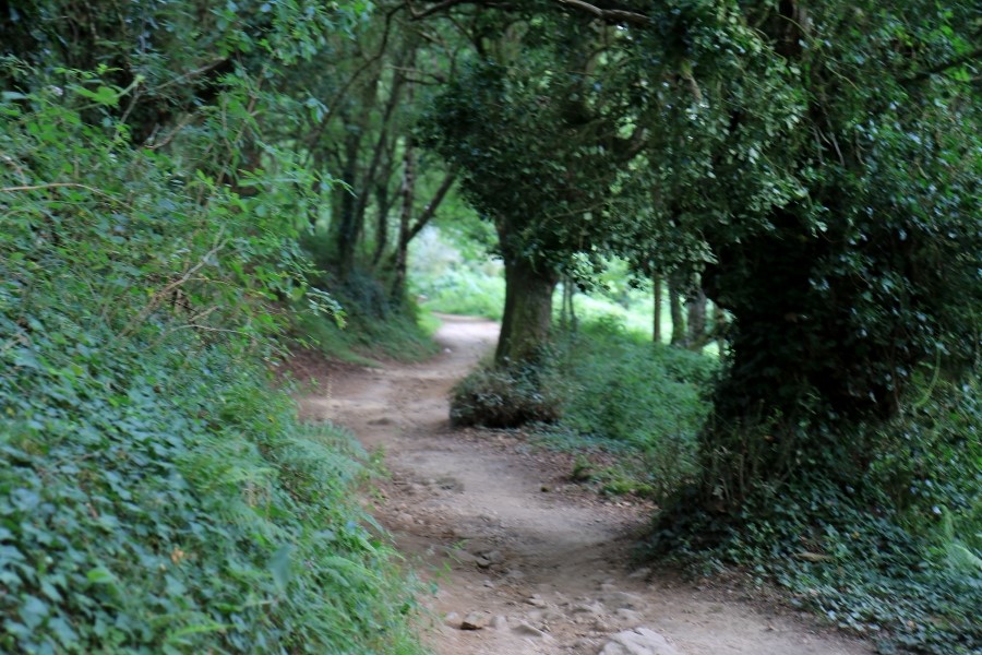 산티아고 가는길(camino de santiago 2014) : 사리아(sarria)에서 시작하기..#4-1 사리아 Sarria ~ portomarin 2014.7.18 관련 이미지 22