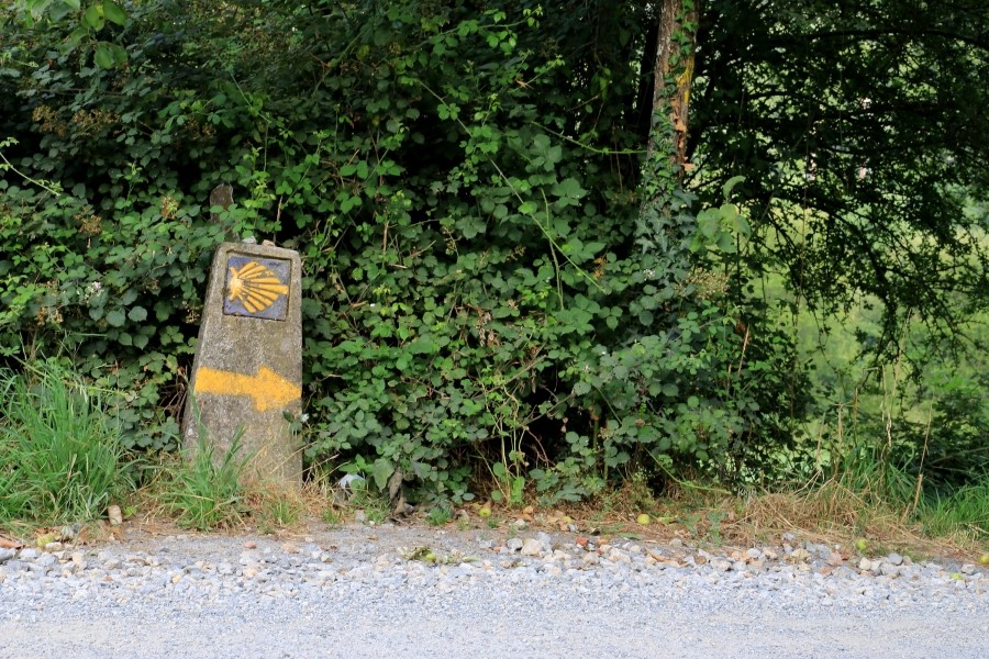 산티아고 가는길(camino de santiago 2014) : 사리아(sarria)에서 시작하기..#4-1 사리아 Sarria ~ portomarin 2014.7.18 관련 이미지 13
