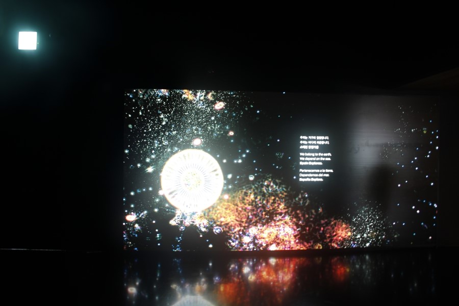 여수엑스포 관람기 9 : 여수엑스포 국제관(스페인관,덴마크관,이스라엘관)#1..2012.7.22 관련 이미지 7