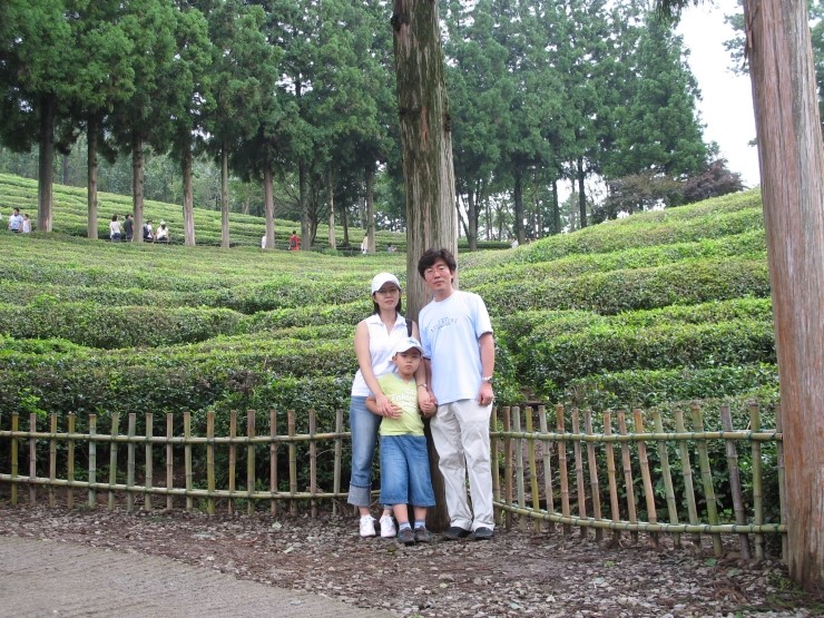 보성 녹차밭 나들이....2006년 7월.. 관련 이미지 7