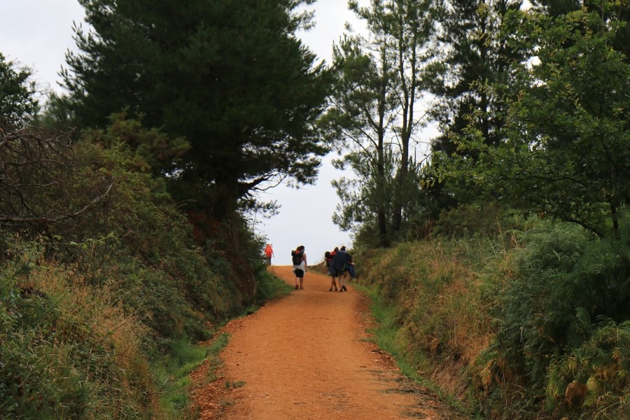 산티아고 가는길(camino de santiago 2014) #6-1 포르토마린 Portomarin ~ 팔레스 데 레이 Palas de Rei 2014.7.19 관련 이미지 13
