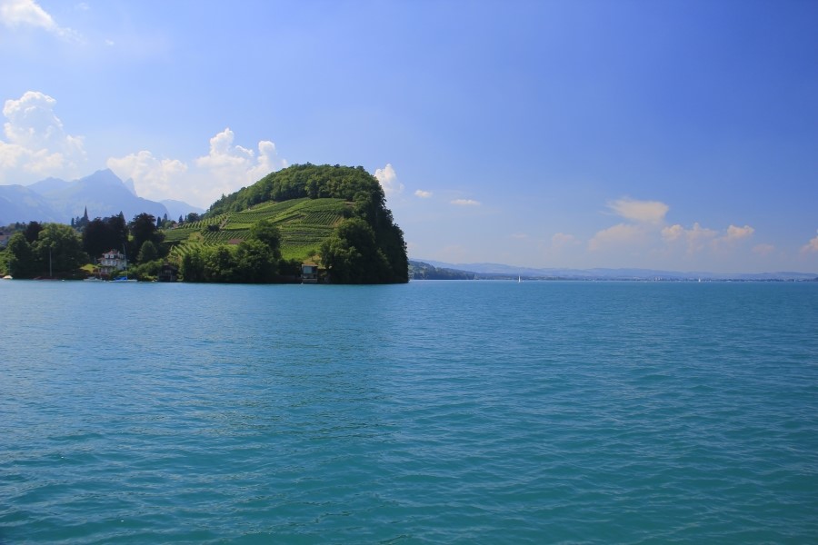 툰 호수 Thun Lake...Thunner see ...세째날 ..: 2013 관련 이미지 26