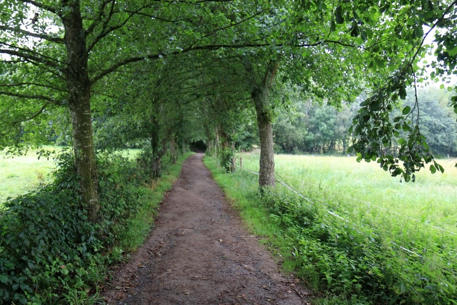 camino de santiago 카미노 데 산티아고 # 3일째..Palas de rei ~ Arzua 28.9 km...2014.7.20 관련 이미지 24