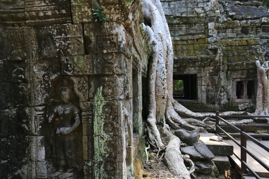<캄보디아/앙코르와트 자유여행> 3박5일 두근두근!! - TA PROHM 타 프롬 : 세쨰날 (2013.12.21 ) 관련 이미지 18