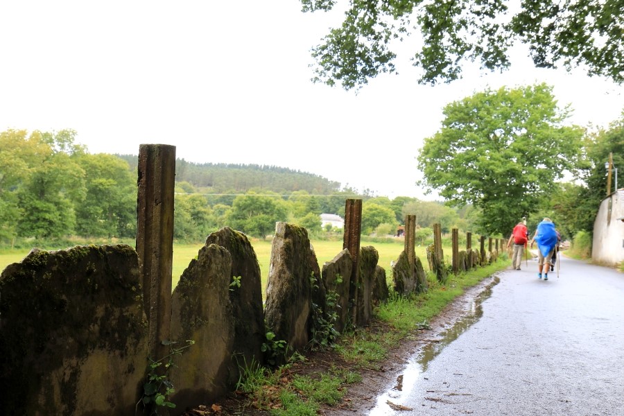 산티아고 가는길(camino de santiago 2014) #6-2 포르토마린 Portomarin ~ 팔레스 데 레이 Palas de Rei 2014.7.19 관련 이미지 16