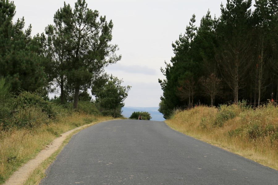 산티아고 가는길(camino de santiago 2014) : 사리아(sarria)에서 시작하기..#4-2 사리아 Sarria ~ portomarin 2014.7.18 관련 이미지 22