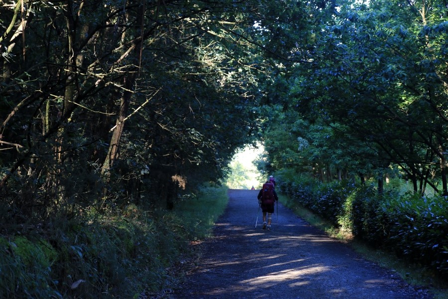 camino de santiago 카미노 데 산티아고 # 4일째..Arzua ~ Lavacolla  28.3 km...2014.7.21 관련 이미지 12