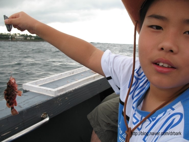 제주도 앞바다에서의 배낚시....# 2009년 7월26일.. 관련 이미지 7