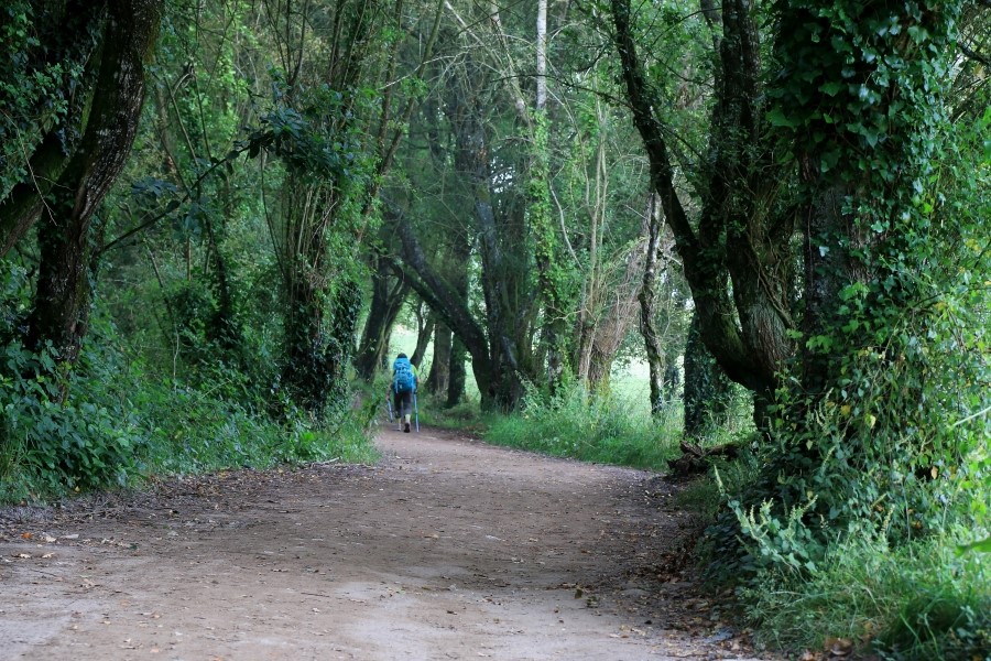 산티아고 가는길(camino de santiago 2014) : 사리아(sarria)에서 시작하기..#4-1 사리아 Sarria ~ portomarin 2014.7.18 관련 이미지 32