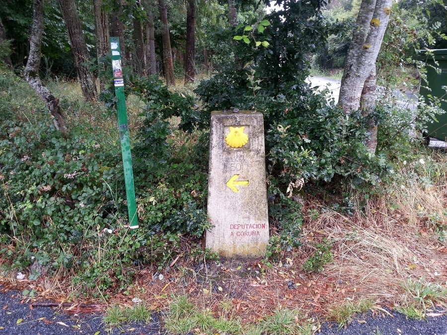 camino de santiago 카미노 데 산티아고 # 3일째..Palas de rei ~ Arzua 28.9 km...2014.7.20 관련 이미지 27