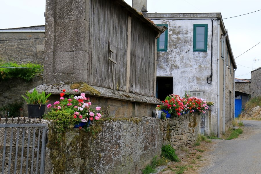 산티아고 가는길(camino de santiago 2014) : 사리아(sarria)에서 시작하기..#4-1 사리아 Sarria ~ portomarin 2014.7.18 관련 이미지 42