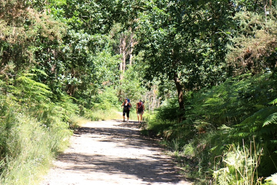 camino de santiago 카미노 데 산티아고 # 4일째-라바꼬야까지..Arzua ~ Lavacolla 28.3 km...2014.7.21 관련 이미지 13