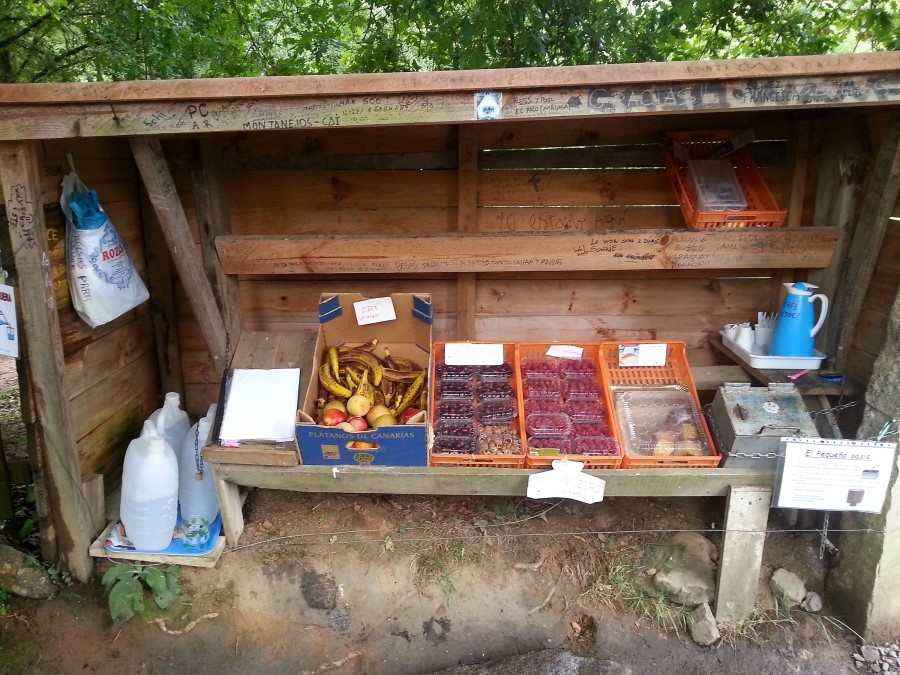 camino de santiago 카미노 데 산티아고 # 3일째-그다음이야기 ..Palas de rei ~ Arzua 28.9 km...2014.7.20 관련 이미지 31