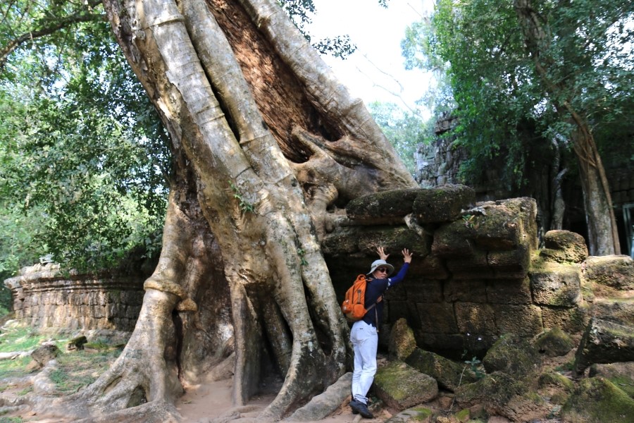 <캄보디아/앙코르와트 자유여행> 3박5일 두근두근!! - TA PROHM 타 프롬 : 세쨰날 (2013.12.21 ) 관련 이미지 35
