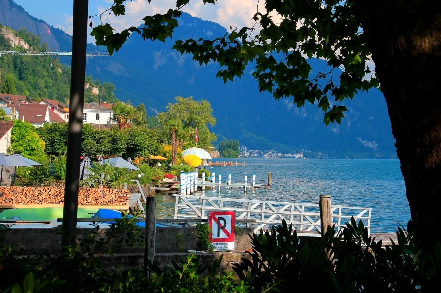 Rigi Kulm  to Weggis 리기쿨름에서 베기스로 : 2013 관련 이미지 13