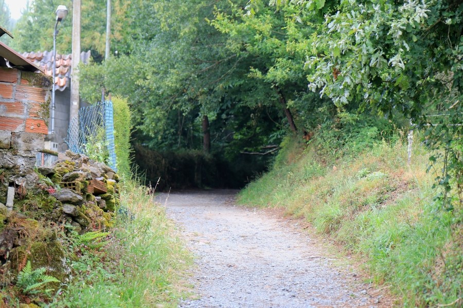 camino de santiago 카미노 데 산티아고 # 3일째..Palas de rei ~ Arzua 28.9 km...2014.7.20 관련 이미지 11