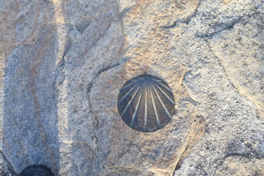 카미노 데 산티아고camino de santiago : 스페인 사리아에서 시작하기 #5일째... Santiago de compostela..2014.7.22 관련 이미지 2