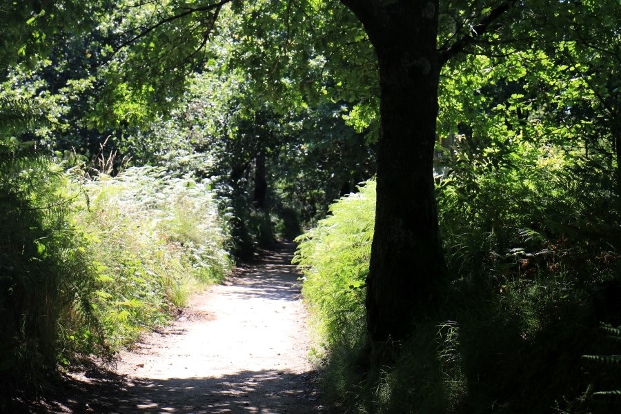 camino de santiago 카미노 데 산티아고 # 4일째-라바꼬야까지..Arzua ~ Lavacolla 28.3 km...2014.7.21 관련 이미지 28