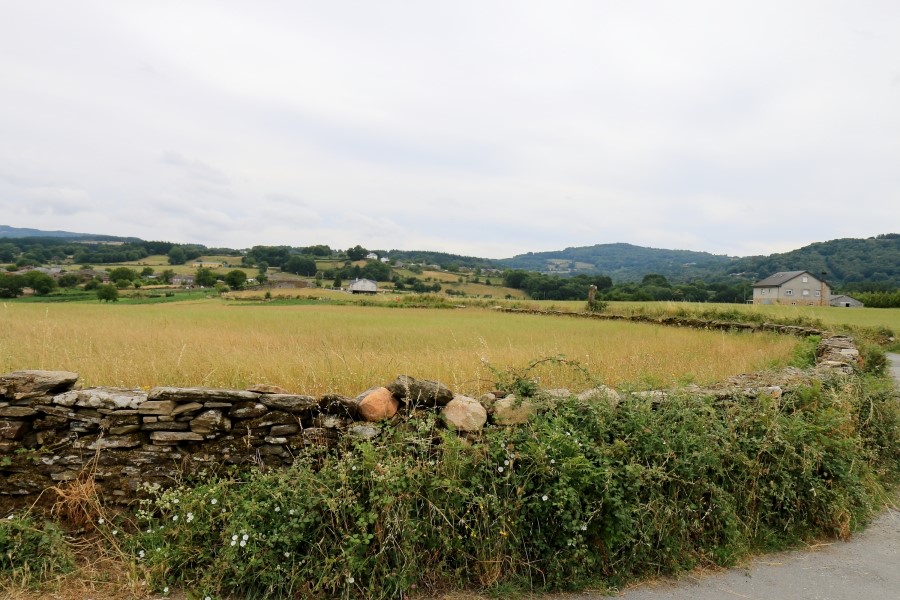 산티아고 가는길(camino de santiago 2014) : 사리아(sarria)에서 시작하기..#4-2 사리아 Sarria ~ portomarin 2014.7.18 관련 이미지 28