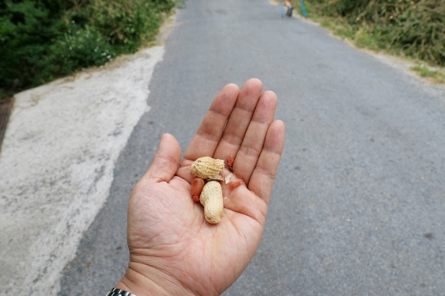 산티아고 가는길(camino de santiago 2014) : 사리아(sarria)에서 시작하기..#4-2 사리아 Sarria ~ portomarin 2014.7.18 관련 이미지 13