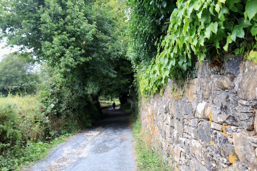 camino de santiago 카미노 데 산티아고 # 3일째-그다음이야기 ..Palas de rei ~ Arzua 28.9 km...2014.7.20 관련 이미지 27