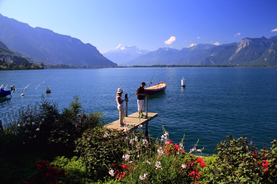 2013 관련 이미지 6