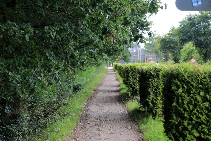camino de santiago 카미노 데 산티아고 # 3일째-그다음이야기 ..Palas de rei ~ Arzua 28.9 km...2014.7.20 관련 이미지 57