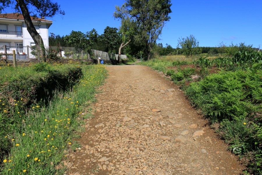 camino de santiago 카미노 데 산티아고 # 4일째-이어지는 길..Arzua ~ Lavacolla 28.3 km...2014.7.21 관련 이미지 1