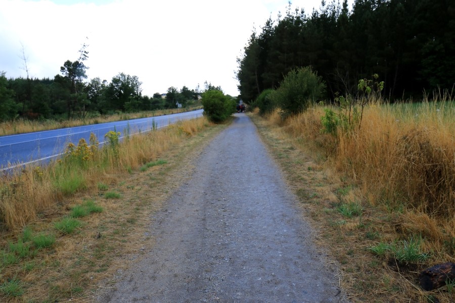 산티아고 가는길(camino de santiago 2014) #6-1 포르토마린 Portomarin ~ 팔레스 데 레이 Palas de Rei 2014.7.19 관련 이미지 20