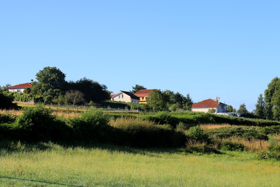 camino de santiago 카미노 데 산티아고 # 4일째..Arzua ~ Lavacolla  28.3 km...2014.7.21 관련 이미지 9
