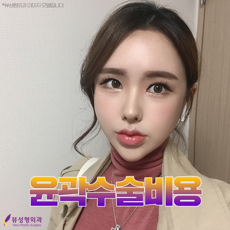 윤곽수술비용보다 안전성을 꼼꼼히 따져야 관련 이미지 7