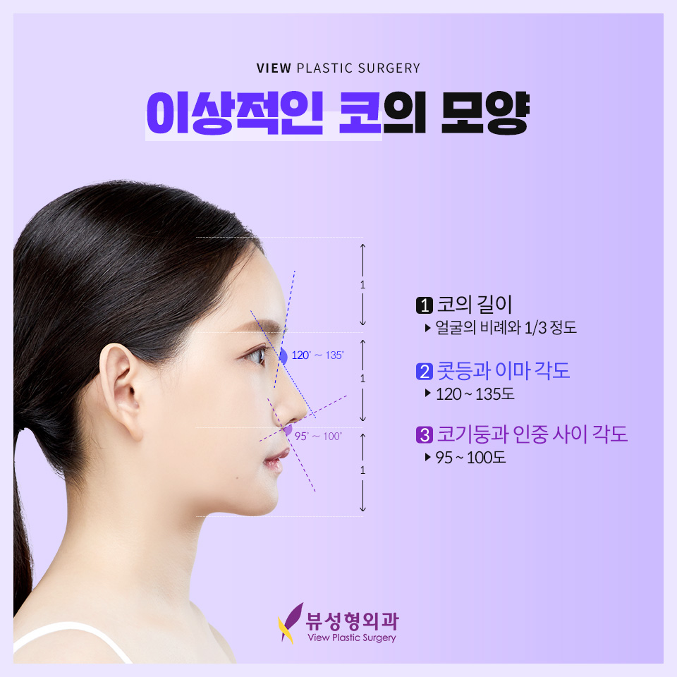 얼굴의 비율과 균형, 조화를 이루는 코성형 관련 이미지 3