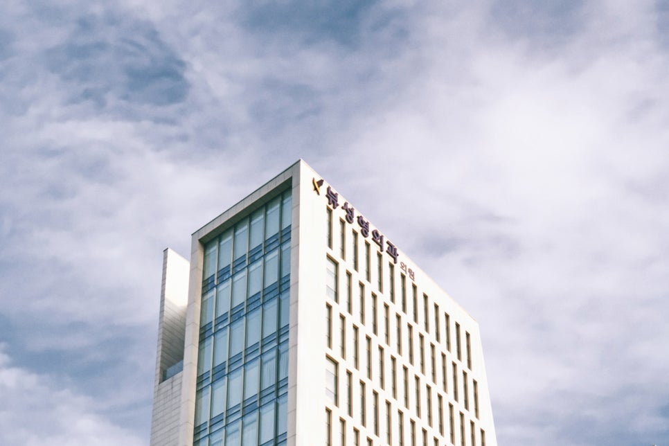 안면윤곽후기 뼈 상태를 위주로 관련 이미지 17