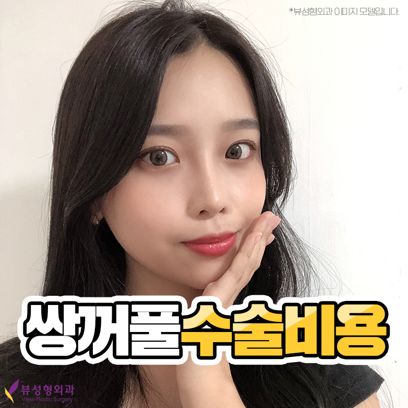 쌍꺼풀수술비용, 목적에 맞춰서 관련 이미지 2