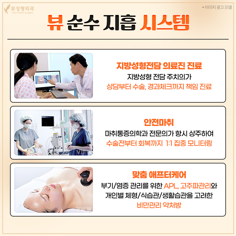 단기간내 눈에 띄는 지방 감량 방법, 지방흡입 관련 이미지 3