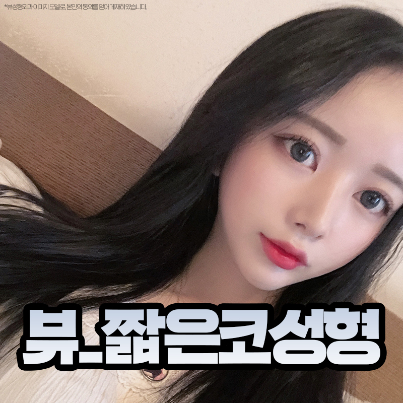 짧은코성형 비율까지 고려해서 뷰에서 관련 이미지 12