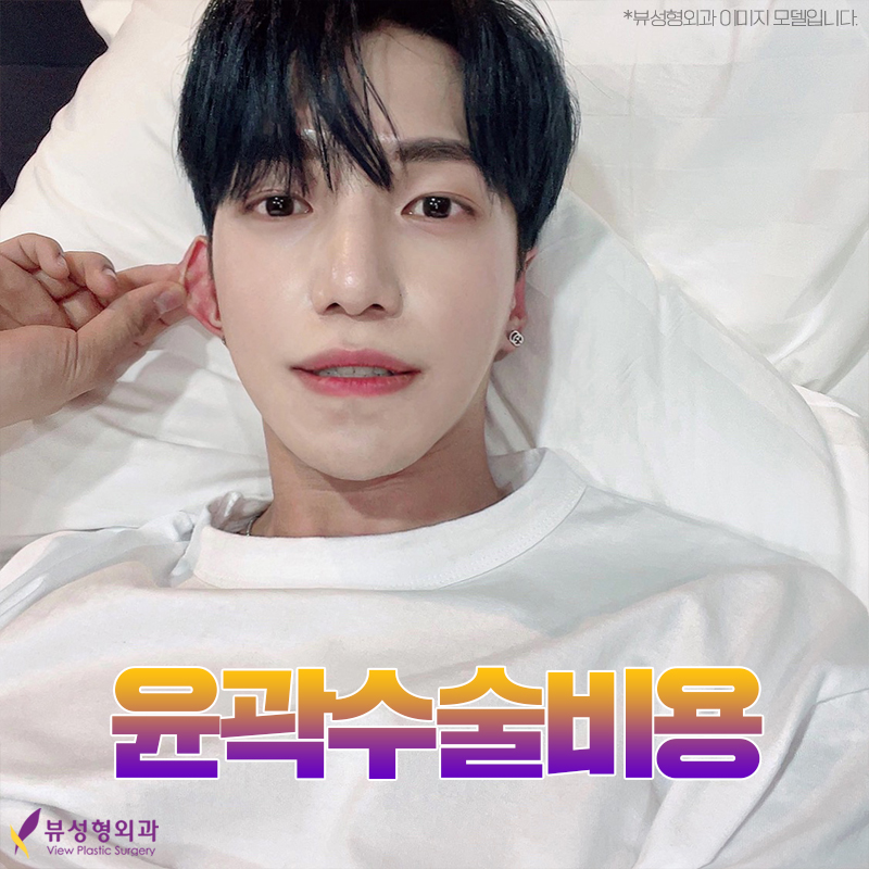 윤곽수술비용보다 안전성을 꼼꼼히 따져야 관련 이미지 9