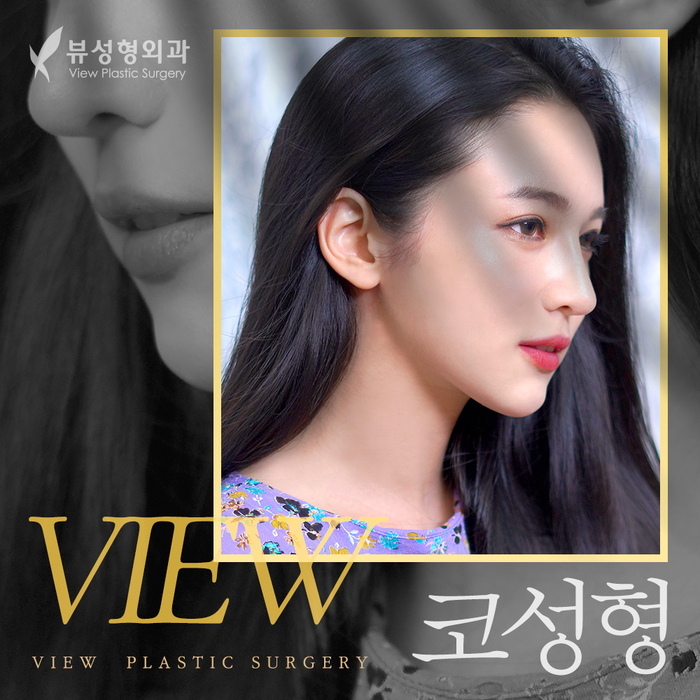 얼굴의 비율과 균형, 조화를 이루는 코성형 관련 이미지 2