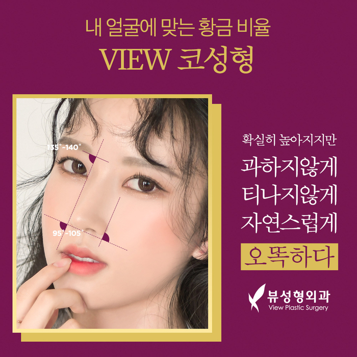 얼굴의 비율과 균형, 조화를 이루는 코성형 관련 이미지 4