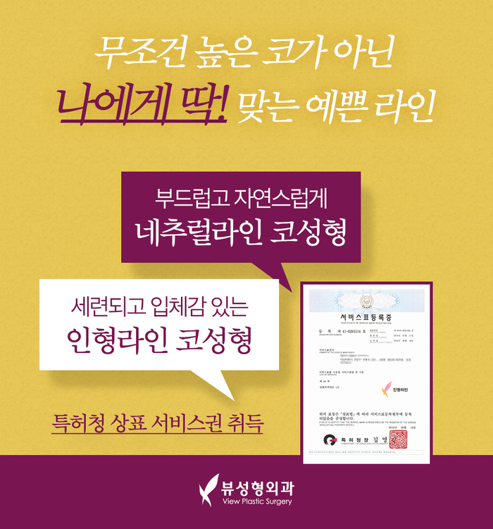 얼굴의 비율과 균형, 조화를 이루는 코성형 관련 이미지 9