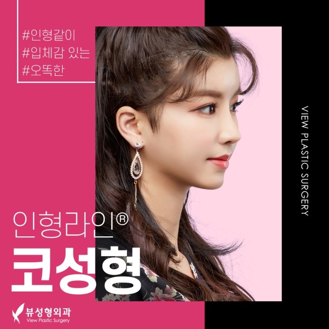얼굴의 비율과 균형, 조화를 이루는 코성형 관련 이미지 5