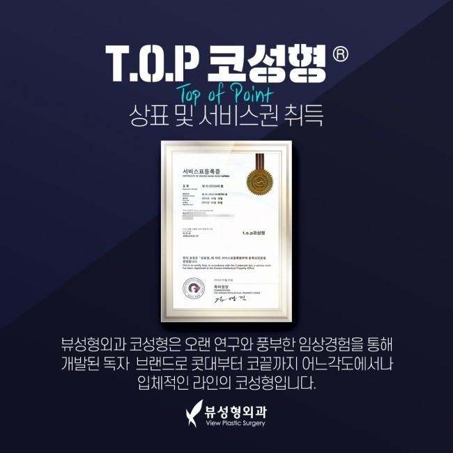 얼굴의 비율과 균형, 조화를 이루는 코성형 관련 이미지 10