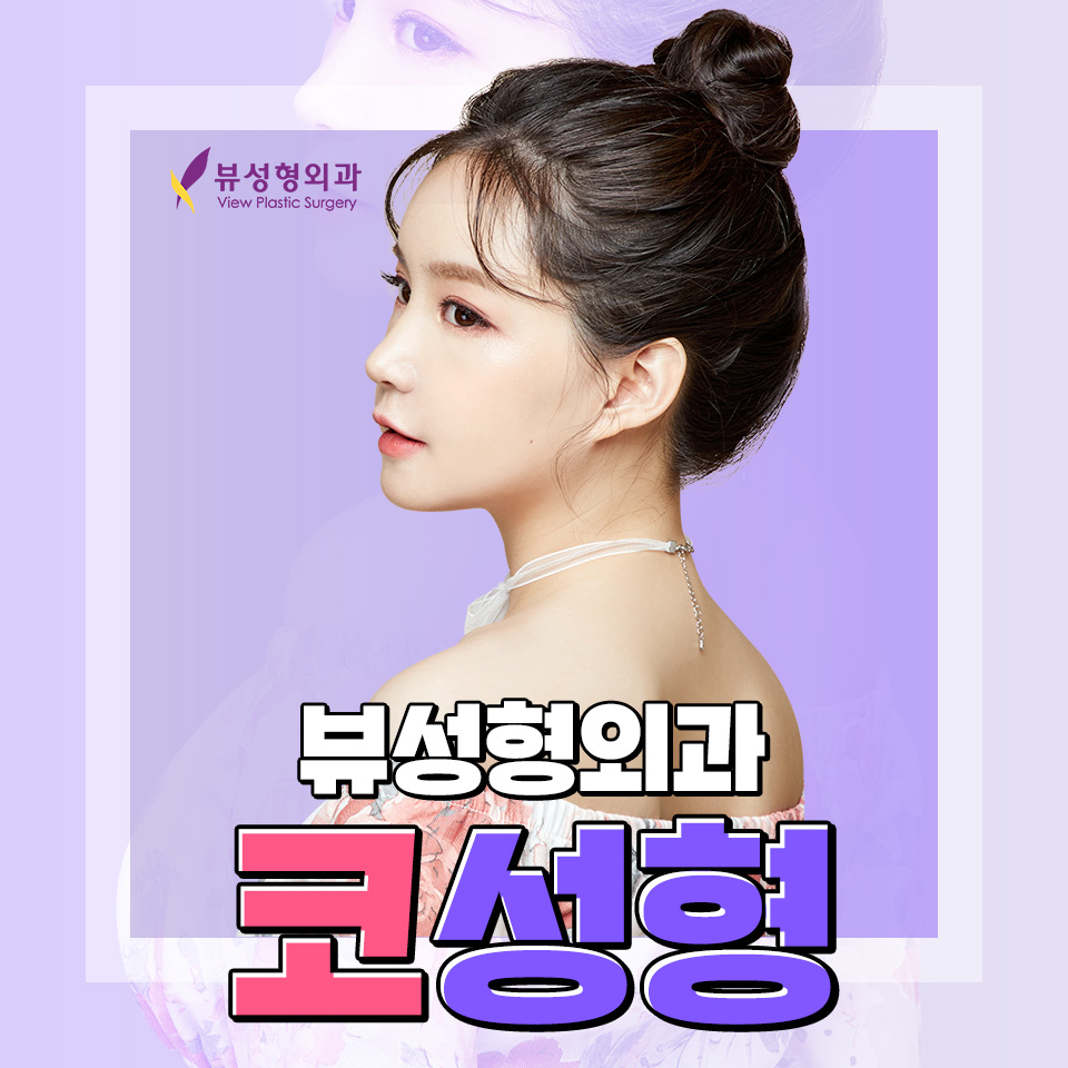 얼굴의 비율과 균형, 조화를 이루는 코성형 관련 이미지 2