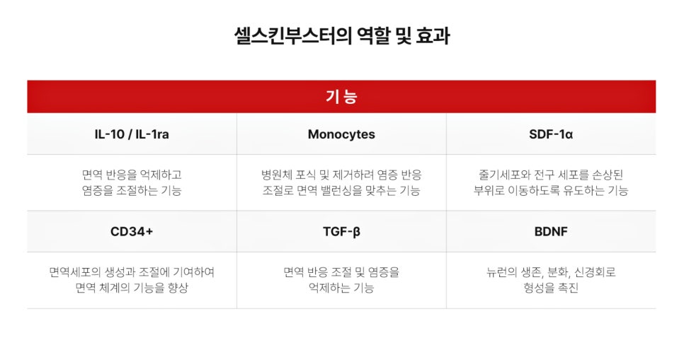 강남대치동피부과, 피부 재생 환경 개선에 도움을 줄 수 있는 셀스킨부스터 - 삼성동 피부과 전문의 관련 이미지 5