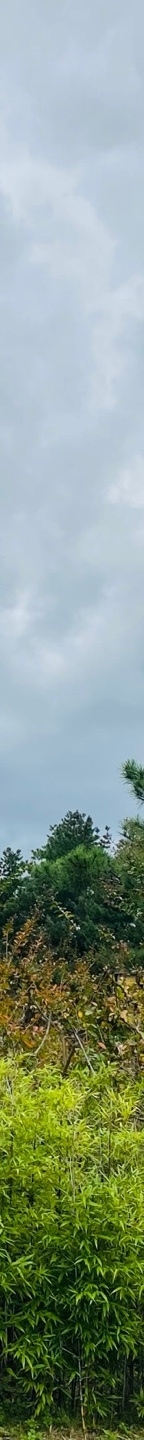 소세지눈재수술후기 소세지눈, 겹주름 해결하려면? 관련 이미지 25